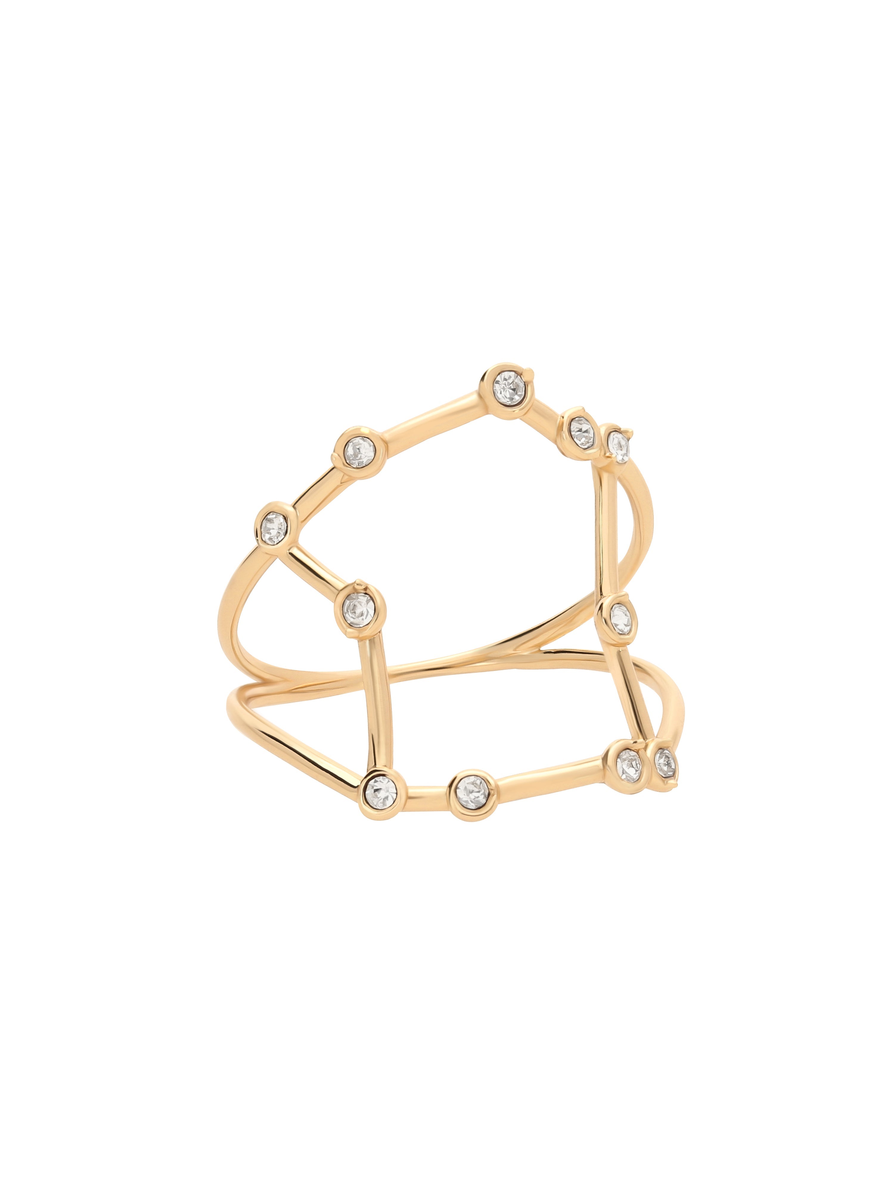 Anillo Acuario