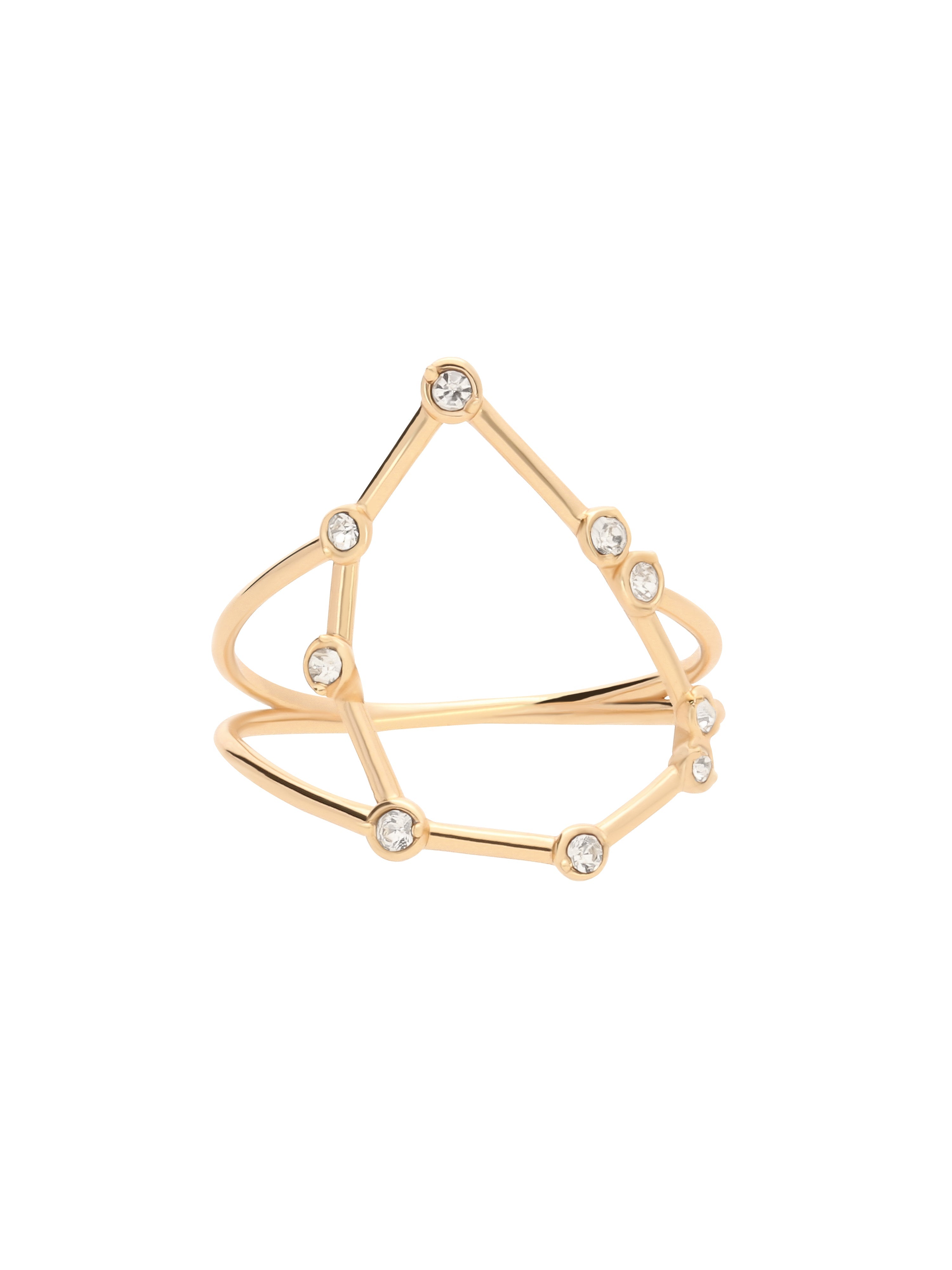 Anillo Capricornio